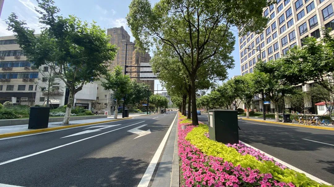 1703816826458180.jpg 5.jpg