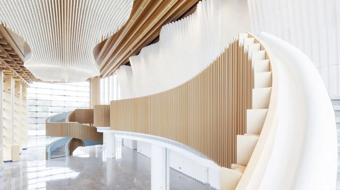 1703816846947928.jpg 7.jpg