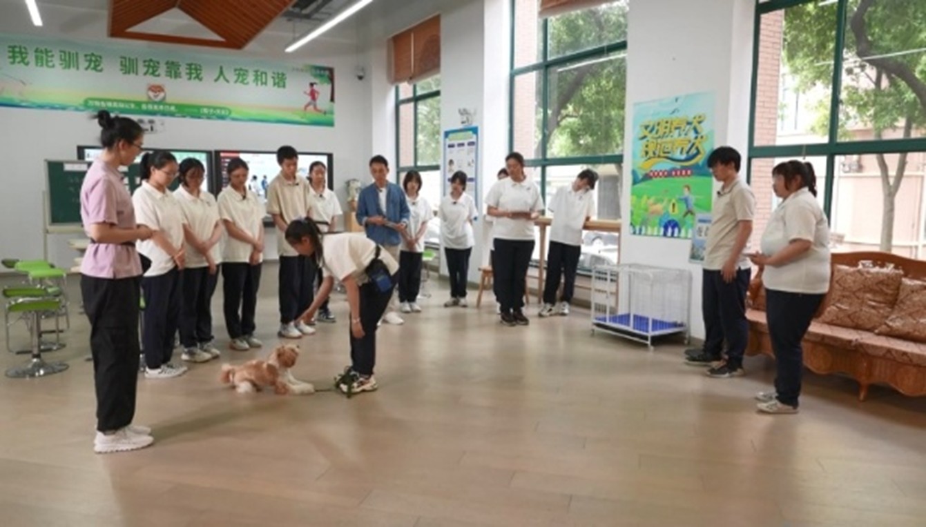 1746497759891041.jpg 2.jpg