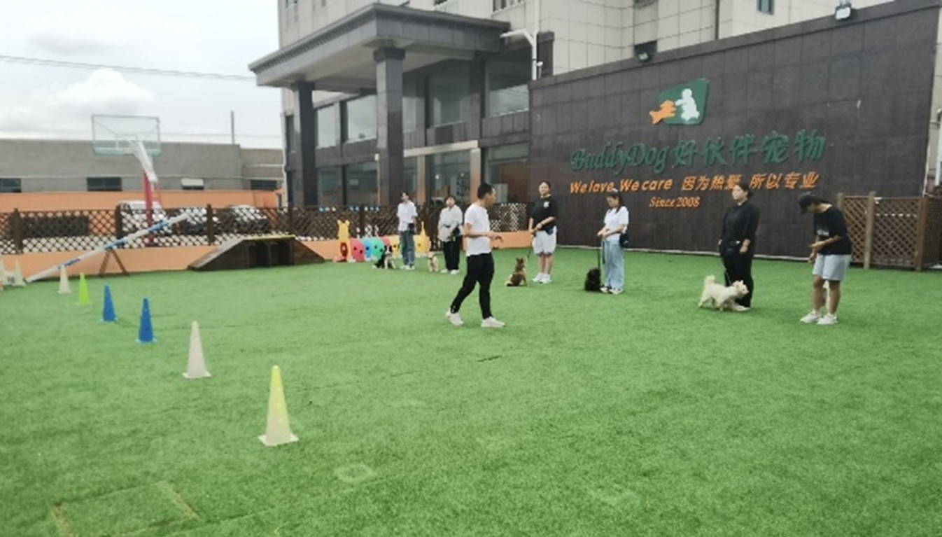 1746497770102619.jpg 3.jpg