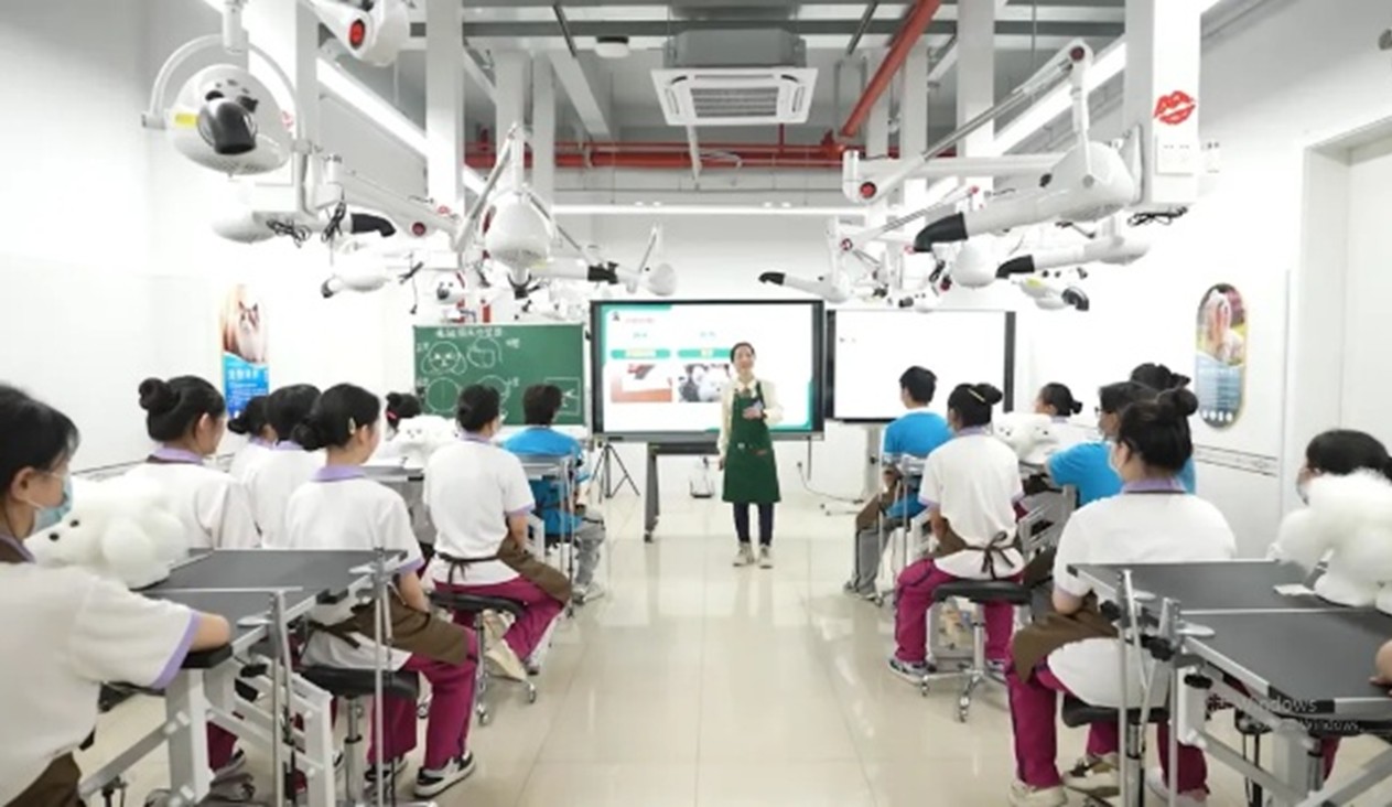 1746497787409668.jpg 5.jpg