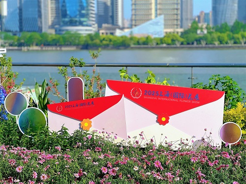 1746585679262489.jpg 1.jpg